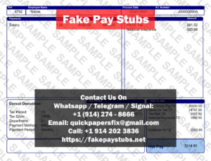 Fake Blue Pay Slip
